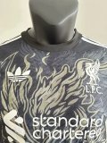 24-25 LIV Black Special Edition Player Version Training Shirts *鹰