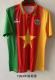 Retro Cameroon 1994 home