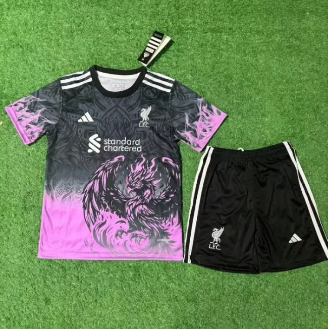 25/26 liverpool Special Edition kids kit