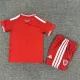 25/26 Wales home kids kit