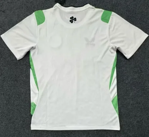 26/27 Ireland away football Jersey World Cup
