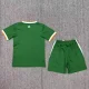 26/27 Ireland home kids kit World Cup