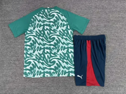 26/27 Portugal kids short -sleeved training suit green