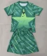 26/27 France goalkeeper Adult Set green