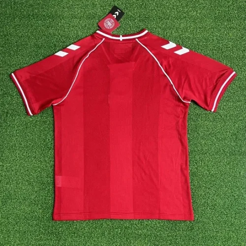 26/27 Denmark home football Jersey