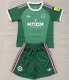 26/27 Newcastle United goalkeeper Adult Set green