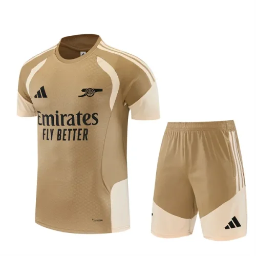 26/27 Arsenal Short sleeve training Adult suit golden