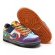 Nike SB Dunk Low Kids Board Shoes Multi-Color