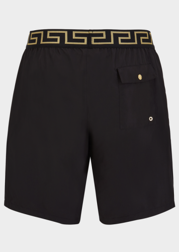 Men's swimming trunks ,SW25-227