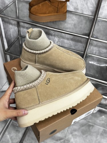 Men and Women Tazz  shoes, size 35-44, SS70-71