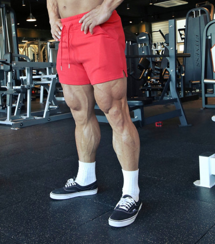 Men's Quick-dry Sports Fitness Shorts