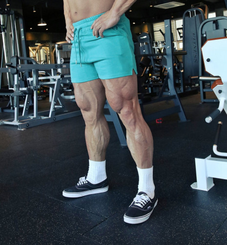 Men's Quick-dry Sports Fitness Shorts