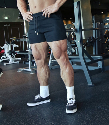 Men's Quick-dry Sports Fitness Shorts