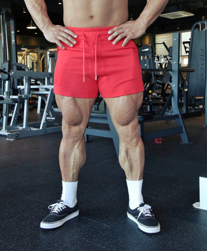 Men's Quick-dry Sports Fitness Shorts