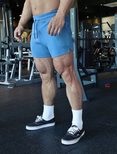 Men's Quick-dry Sports Fitness Shorts