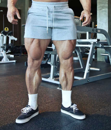 Men's Quick-dry Sports Fitness Shorts