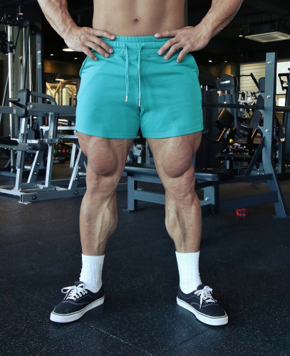 Men's Quick-dry Sports Fitness Shorts