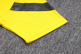 23-24 Dortmund Yellow Polo Tracksuit #C988