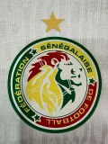 24-25 Senegal Home Player Version Soccer Jersey