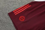 24-25 Bayern Dark red Training Short Suit