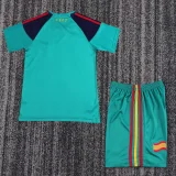 2010 Spain Green Goalkeeper Retro Kids Soccer Jersey