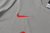 24-25 LIV Grey Training Short Suit