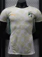 24-25 Ivory Coast Concept Edition Away Player Version Soccer Jersey