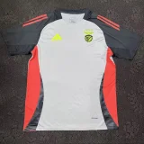 24-25 Benfica Grey Training Shirts