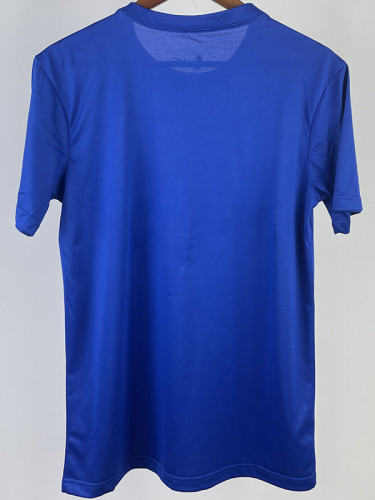 2023 CELTICS Blue Quick drying T-shirt