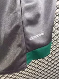 2015-2016 Palmeiras Away Retro Soccer Jersey
