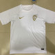 2023 Palmeiras White Training shirts
