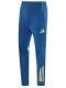 2025 AD Fancy blue Training Long Pants #AK06(彩蓝色)