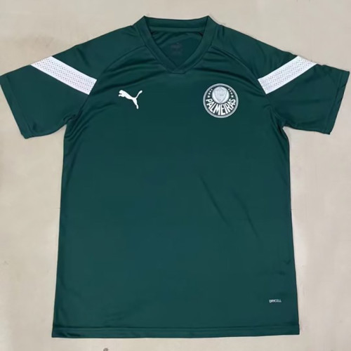 2023 Palmeiras Green Training shirts
