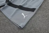 23-24 Al Hilal Grey Training Short Suit