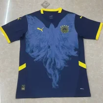 25-26 Fenerbahce Special Edition Blue Fans Soccer Jersey