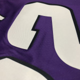 22-23 SUNS AYTON #22 Purple Top Quality Hot Pressing NBA Jersey (Retro Logo)