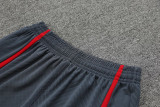 23-24 LIV Grey Training Short Suit