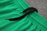 24-25 Palmeiras Fluorescent green Training Short Suit