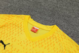 23-24 Dortmund Yellow Training Short Suit