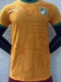 24-25 Ivory Coast   Home Player Version Soccer Jersey
