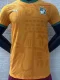 24-25 Ivory Coast   Home Player Version Soccer Jersey