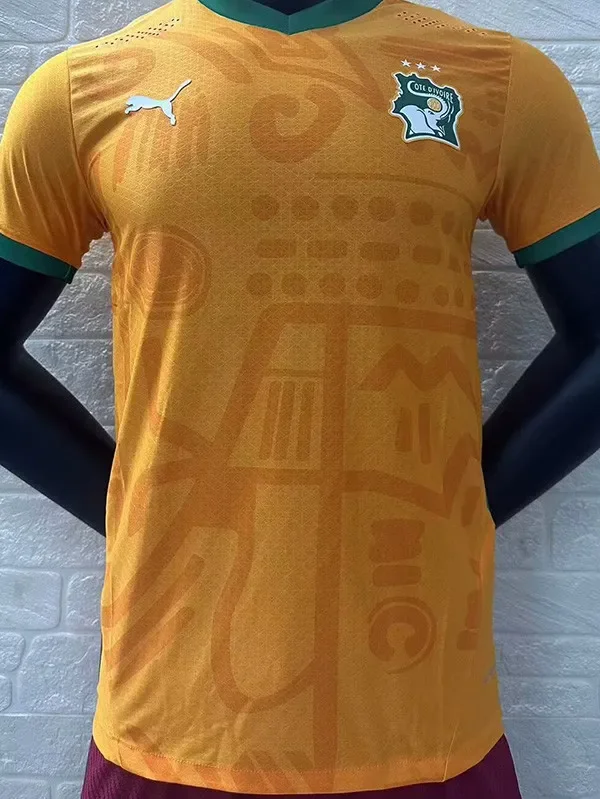 24-25 Ivory Coast Home Player Version Soccer Jersey