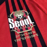 24-25 Seoul FC Home Fans Soccer Jersey 首尔FC