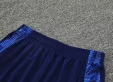 24-25 AL-Nassr Royal Blue Training Short Suit