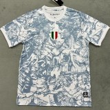 24-25 Italy Grey White Special Edition Fans Soccer Jersey