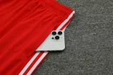 24-25 Bayern Red Training Short Suit