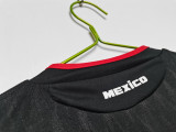 2010 Mexico  Away Soccer Jersey