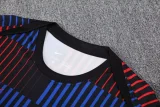 25-26 BAR Red blue Training Short Suit