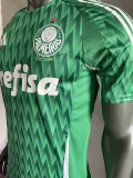 24-25 Palmeiras Green Special Edition Player Version Soccer Jersey