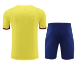 23-24 BAR Yellow Training Short Suit